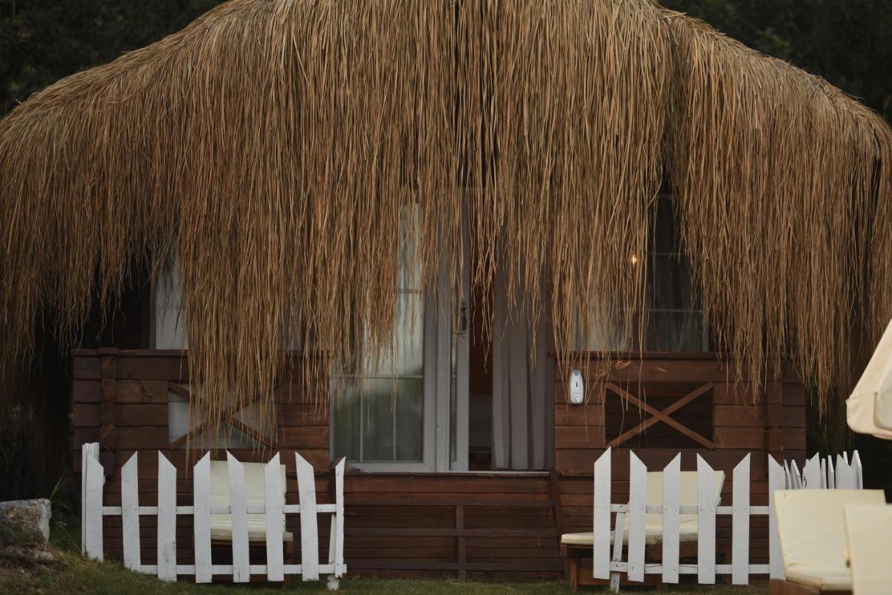 Bungalow - Côté Plage