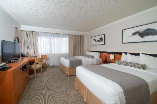 Superior Room Two Double Beds