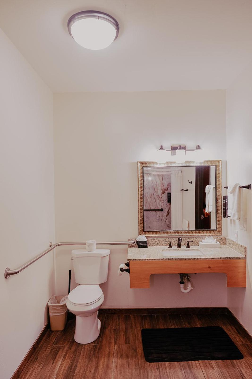 Accessible King Oasis Roll Shower