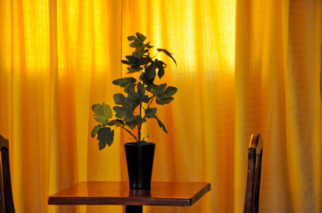 King Suite,191556925:JPEG