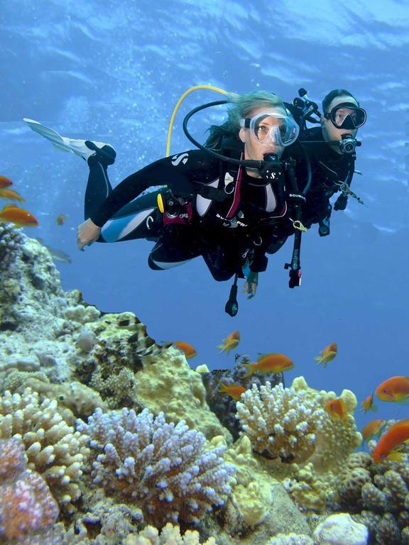 Quarto com Curso de Mergulho em Águas Abertas PADI