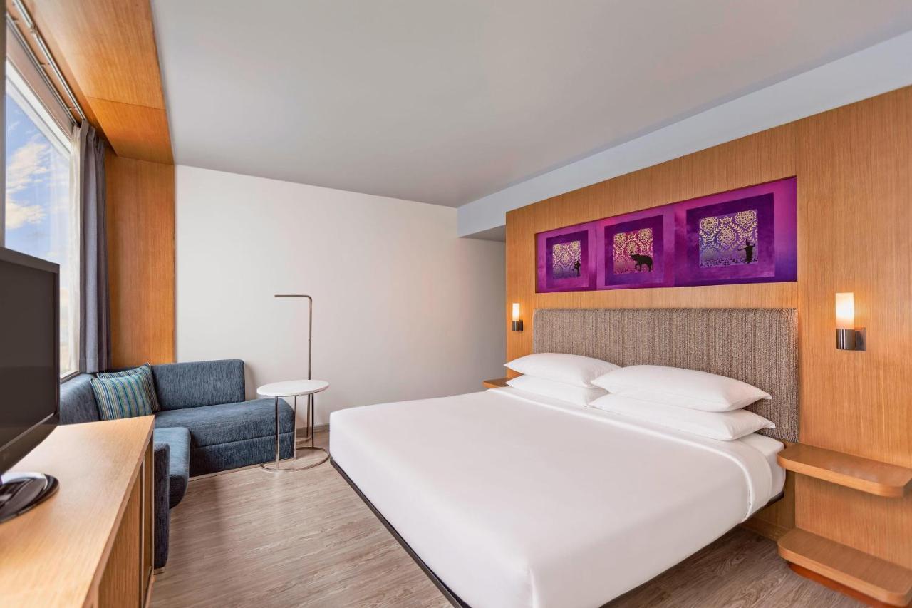 Chic King Room,1639568429:JPEG