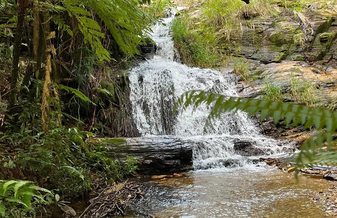 Pousada Cachoeiras da Mata-1