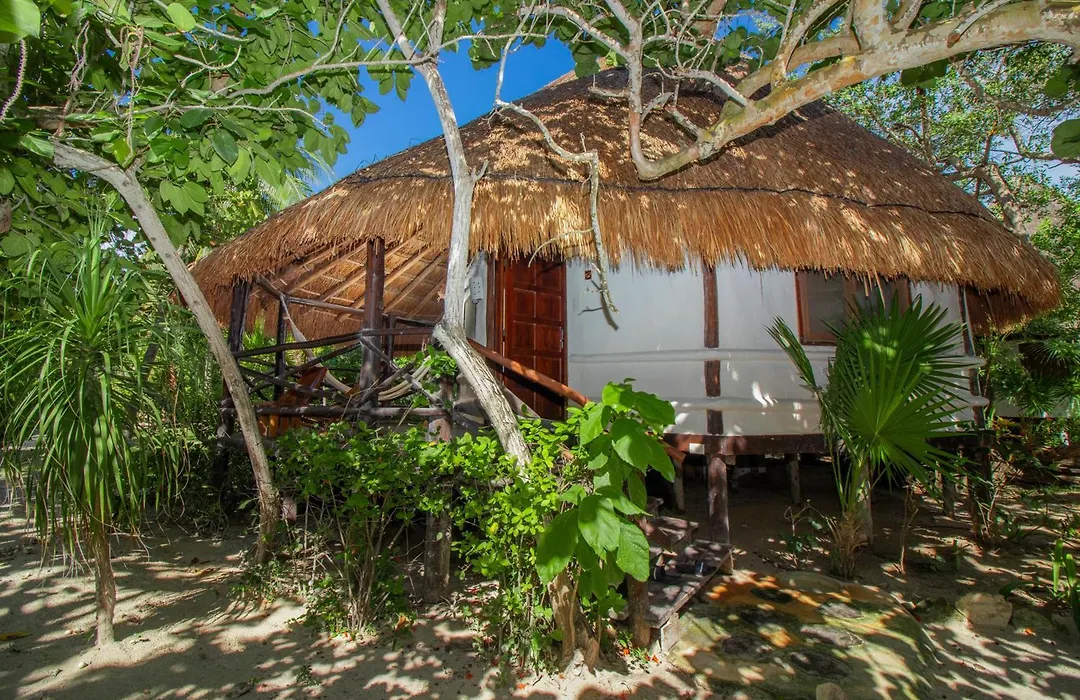 Blue Holbox-1