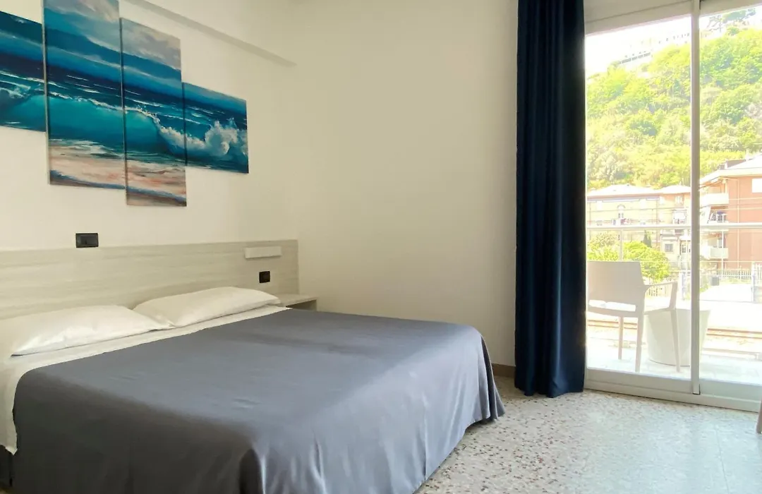Hotel Ideal-1