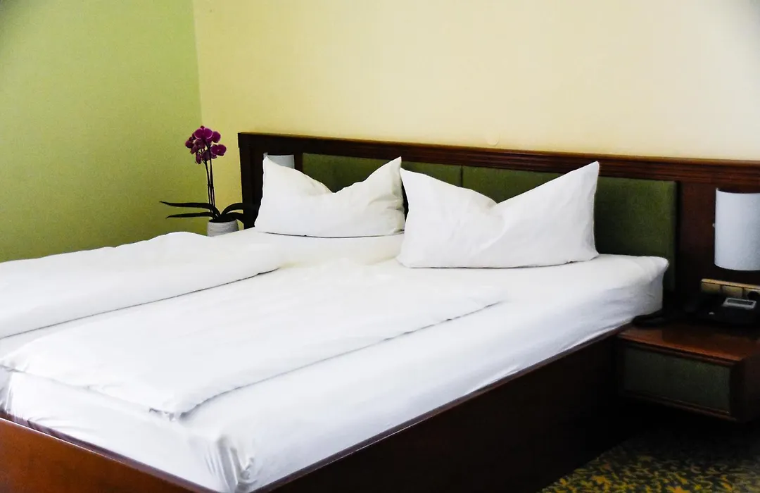 Parkhotel Zirndorf-1