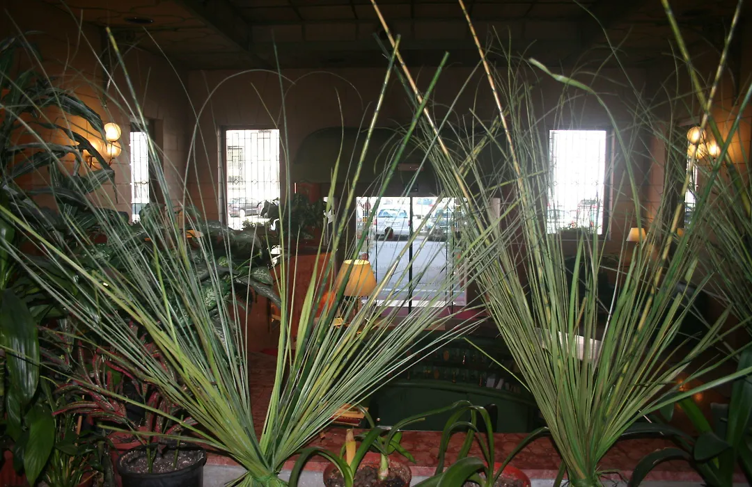 Albert Hotel-1