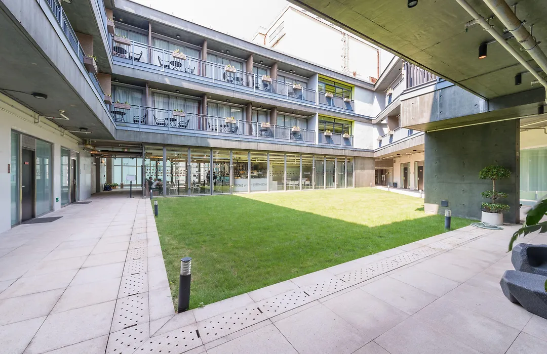 Y Loft-1