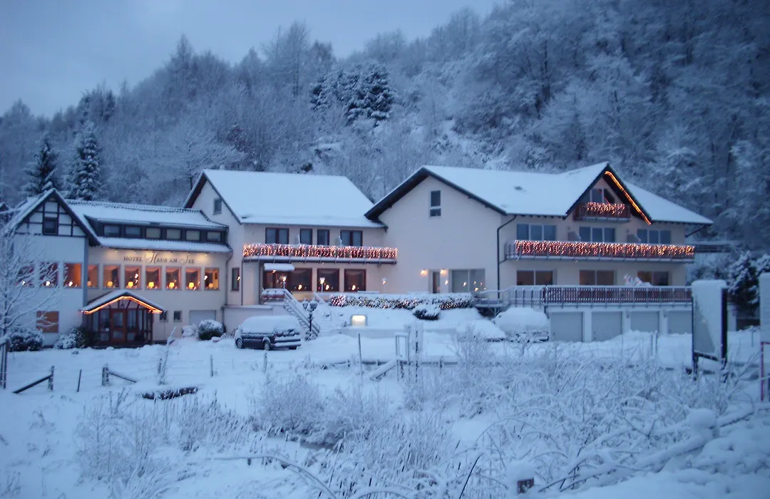 Hotel Haus Am See-1
