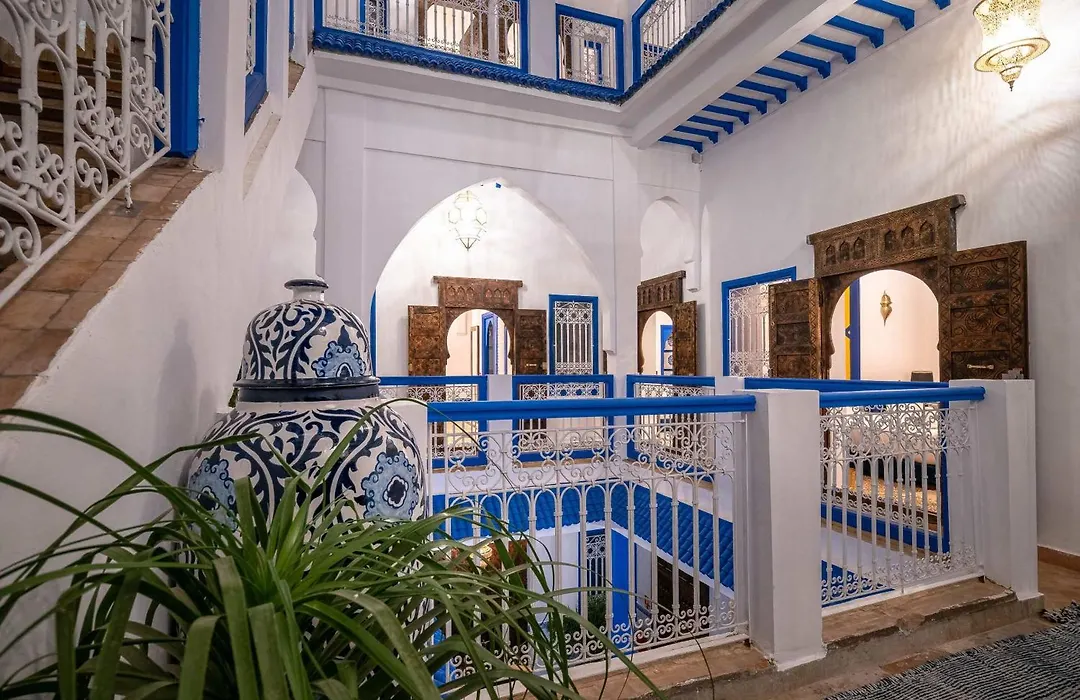 Riad Blue Eyes-1