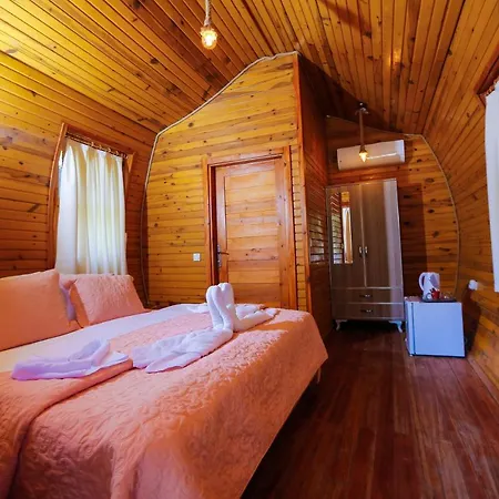 Green Pine Bungalows & Beach Luxury Concept-3