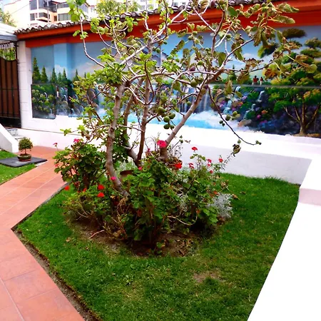 Hotel Andino-2