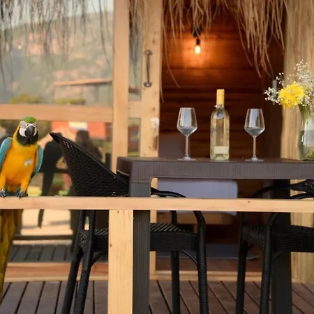 Green Pine Bungalows & Beach Luxury Concept-2