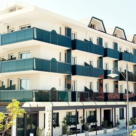 Hotel Aurea-2