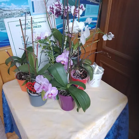 Hotel Del Fiume-2