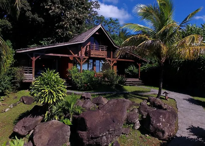 Jardin Malanga