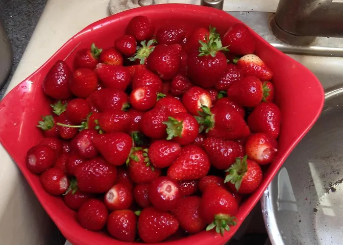 Nettles Farm