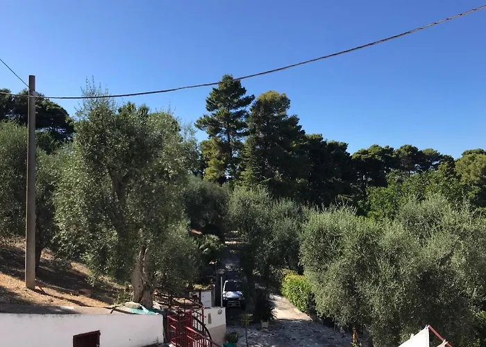 Villa Pineta Vista Mare