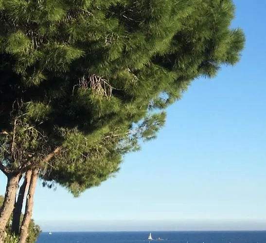 Chambres d'hôtes VUE MER Mer à 2 min à pied