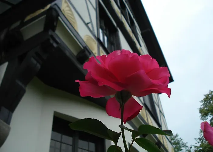 Gutshaus Kubbelkow