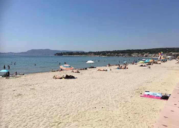 Les Palmiers