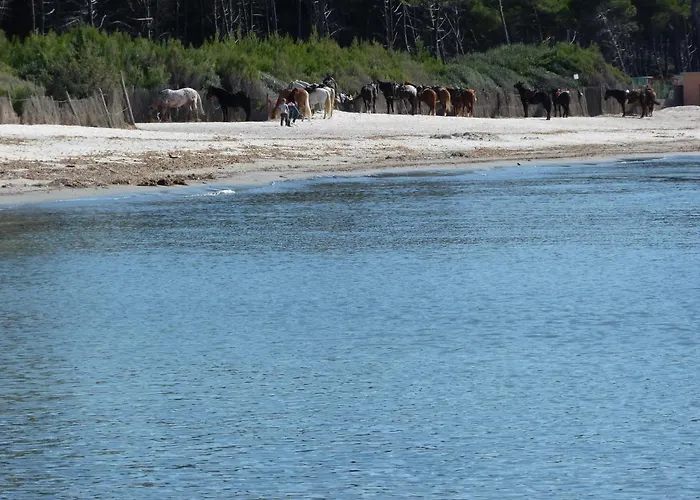 Affittacamere a due passi dal mare