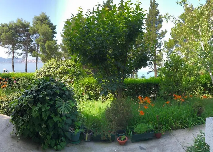 Apartmani Sunce