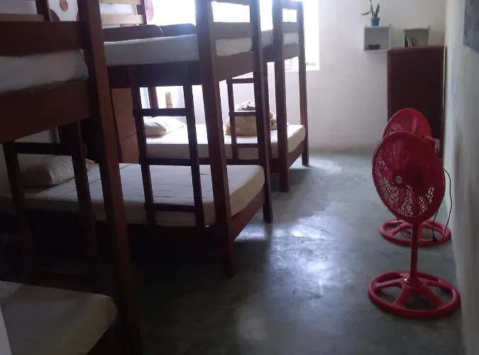 Hostal Jardin