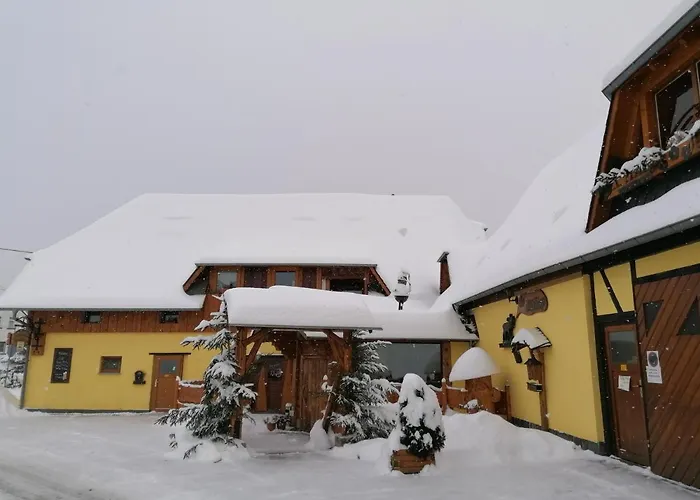 Landgasthof Plohnbachtal UG