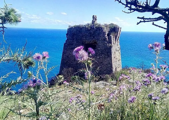 AlmaRé