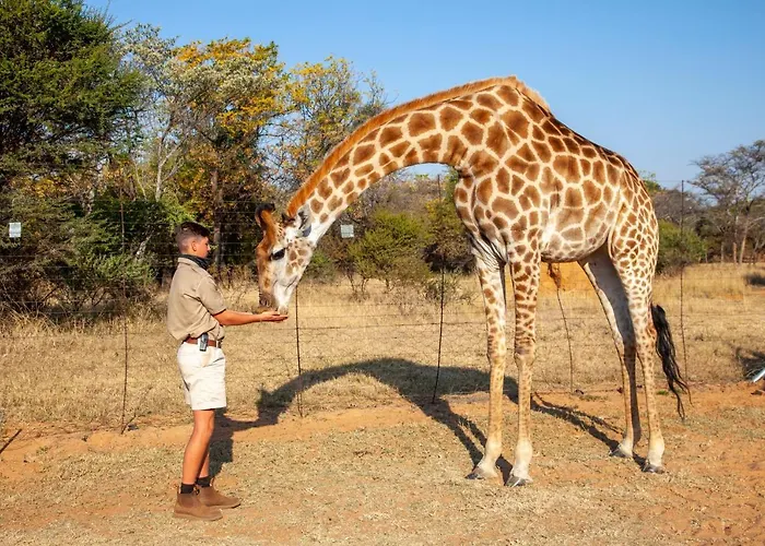Sondela Nature Reserve & Spa Country House