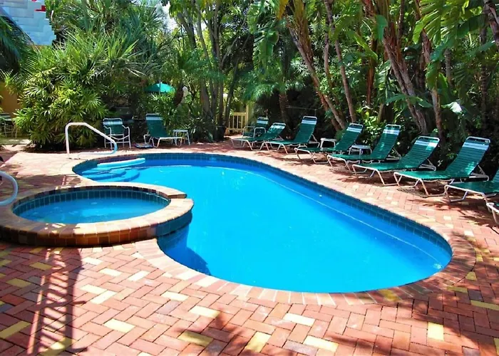 Siesta Key Palms