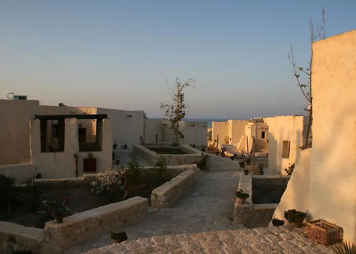 The Oasis