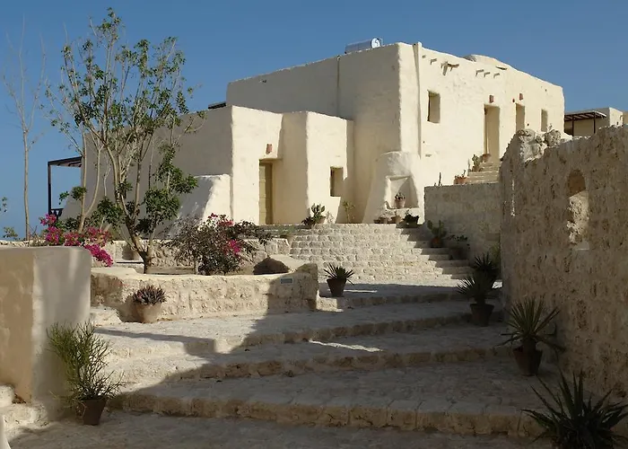 The Oasis