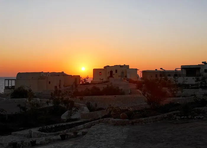The Oasis