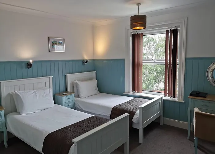 The Elmfield