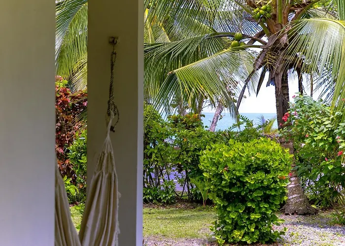 Pineapple House Manzanillo