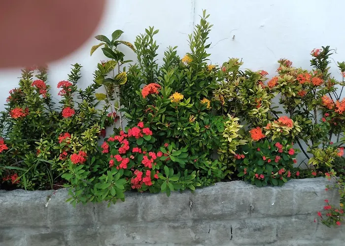 Pousada Terra De Minas