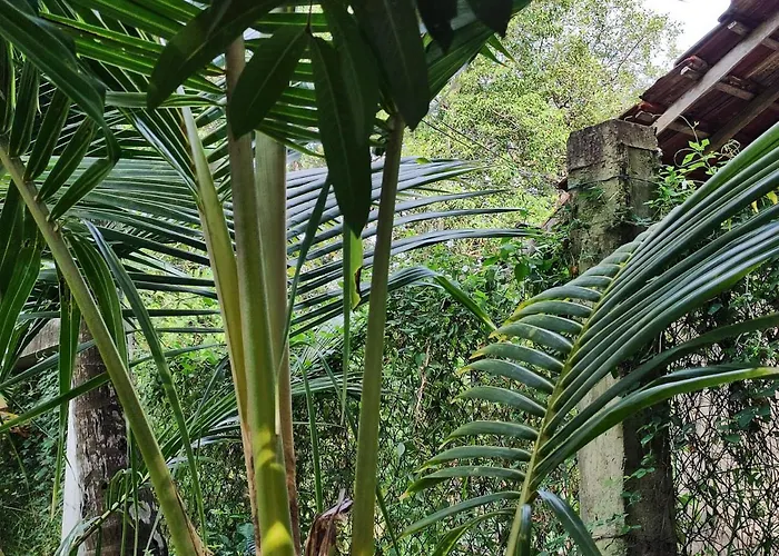 Schatzi'S Hideaway