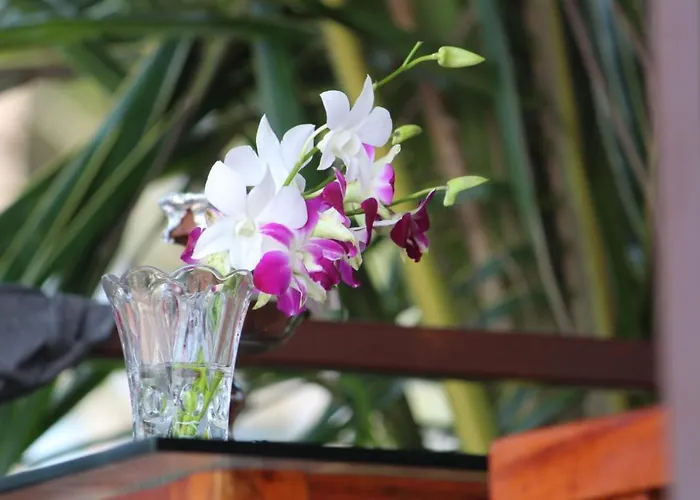 Agonda Wellness