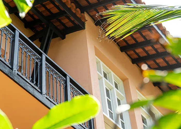 The Slow Vegan Hotel