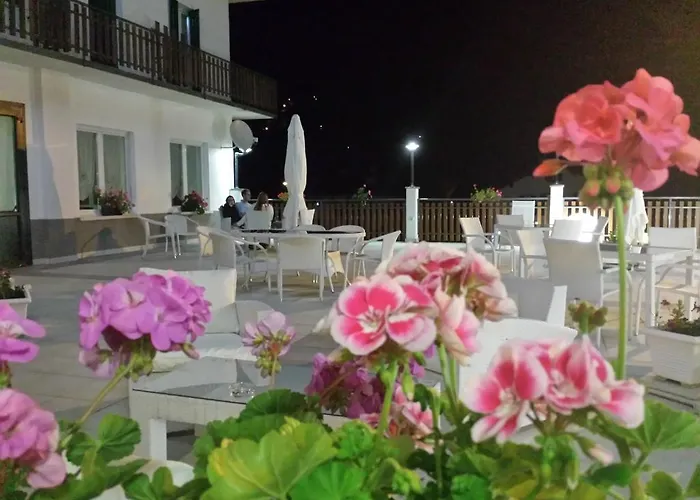 Hotel Pineta