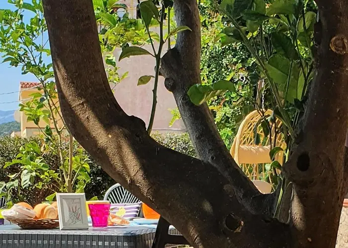 Affittacamere Le Ginestre