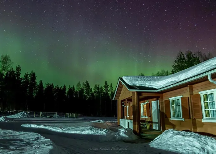Old Pine Husky Lodge