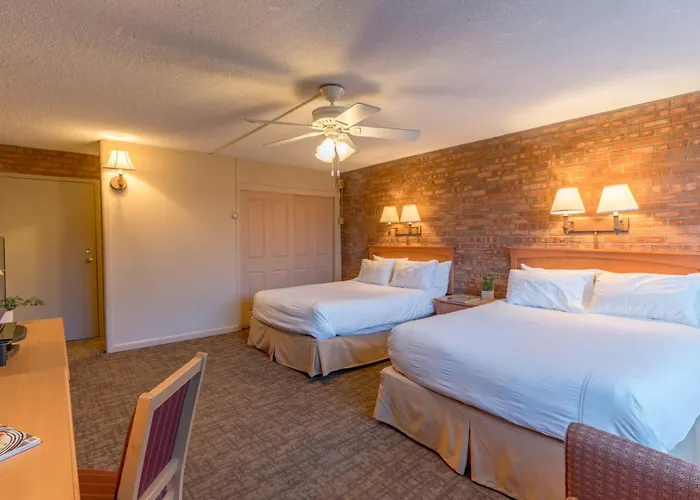 Mountain Chalet Snowmass
