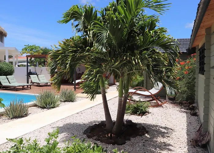 Woodz Bonaire