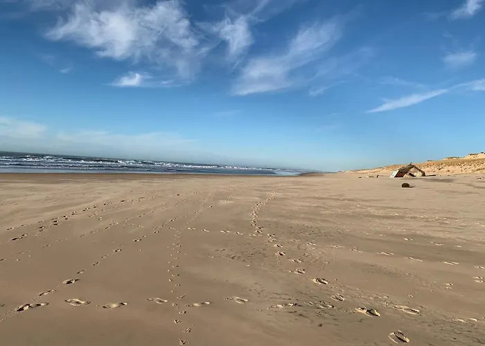 Agreable T2 Lisiere Du Golf Lacanau Ocean