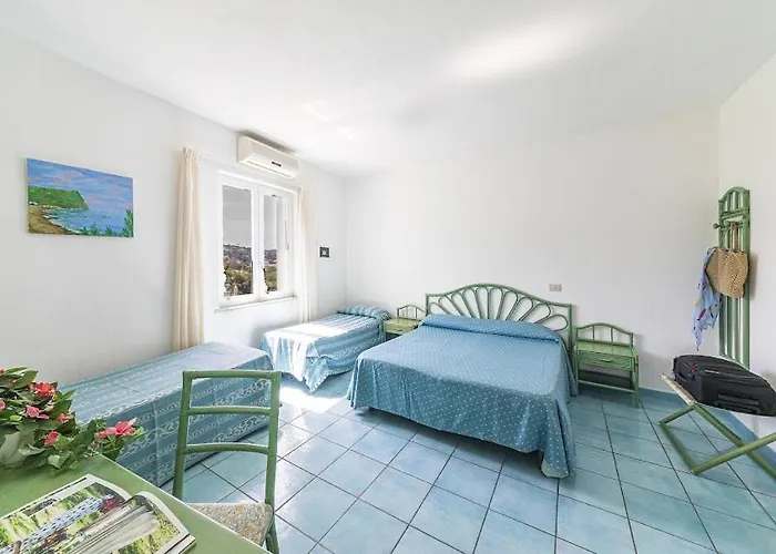 B&B Verde
