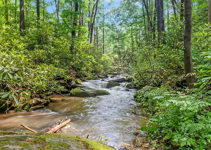 Falling Waters At Rumbling Bald