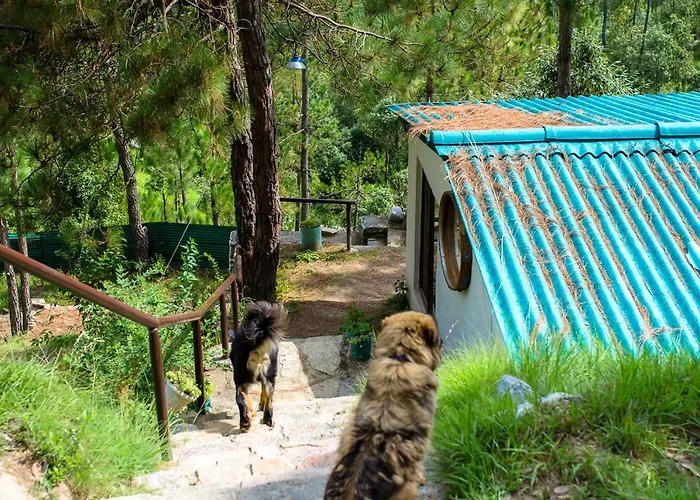 Dervish Stays, Mukteshwar